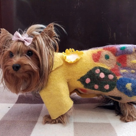 Пальто питомцу