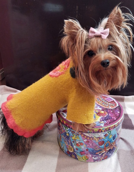 Пальто питомцу