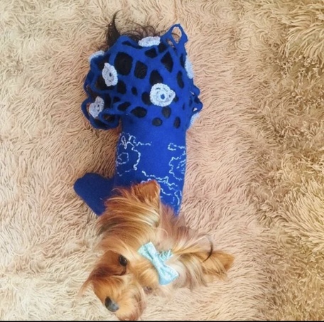 Пальто питомцу