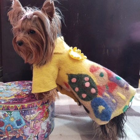 Пальто питомцу