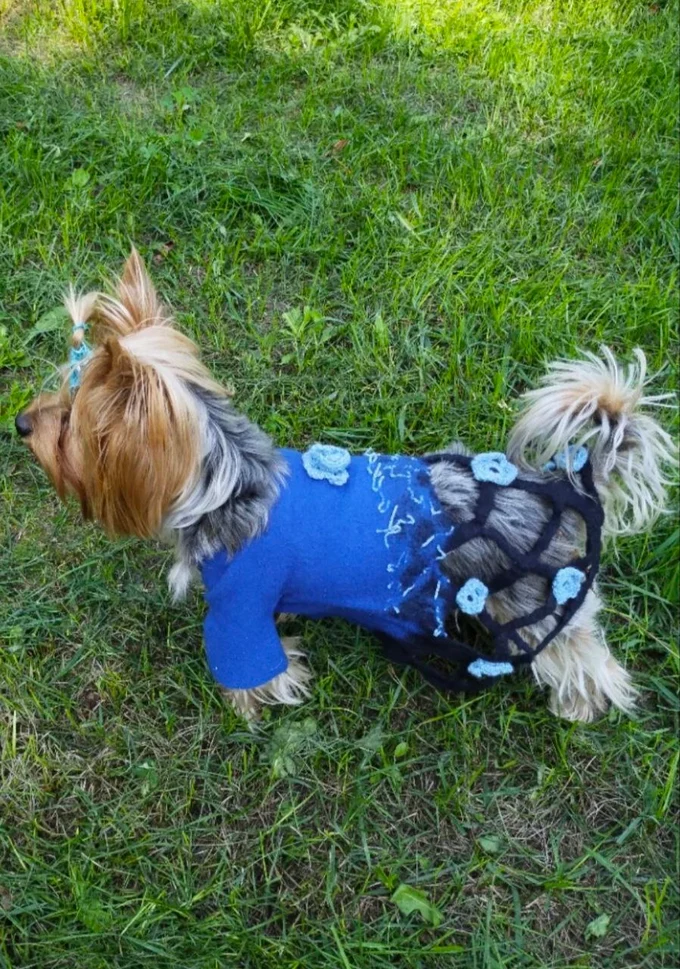 Пальто питомцу