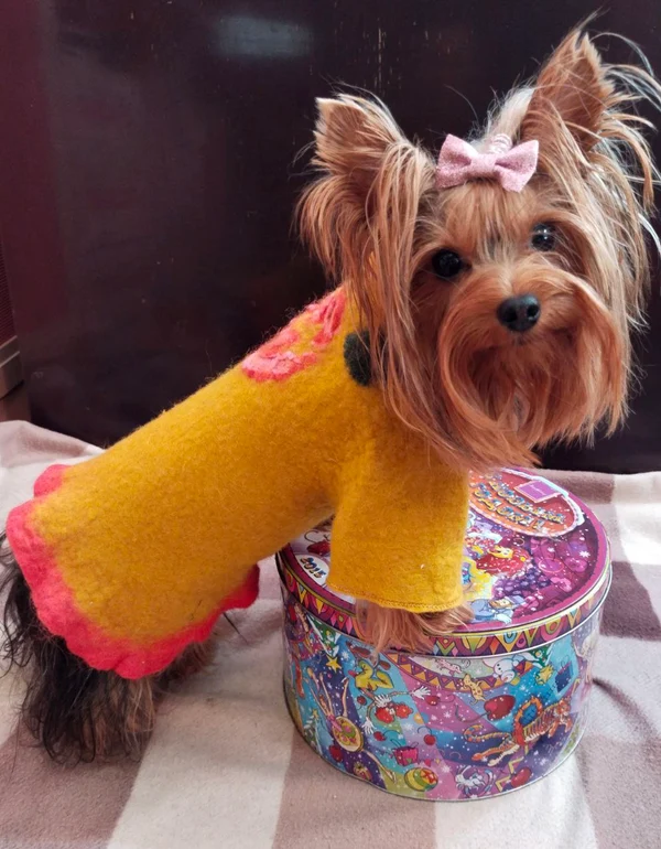 Пальто питомцу