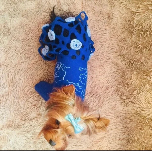 Пальто питомцу